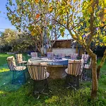 Ferma Gold By Pikhost Tirana