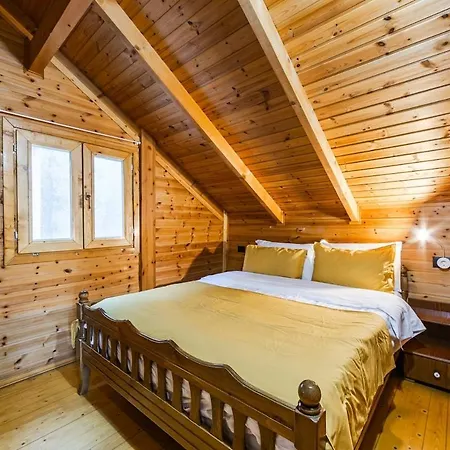 Apartamento Ferma Gold By Pikhost Tirana