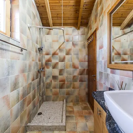 Ferma Gold By Pikhost 公寓 地拉那