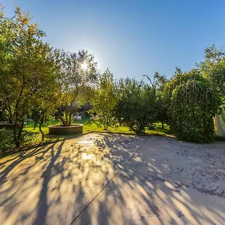 Ferma Gold By Pikhost 地拉那