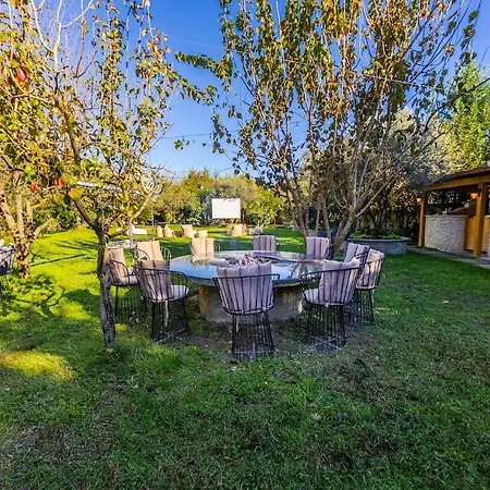 Ferma Gold By Pikhost *