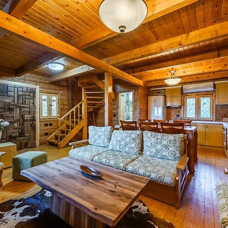 Ferma Gold By Pikhost Tirana