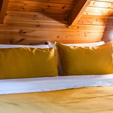 Apartamento Ferma Gold By Pikhost Tirana