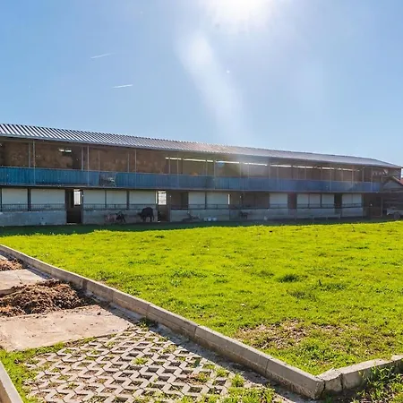 Ferma Gold By Pikhost 公寓