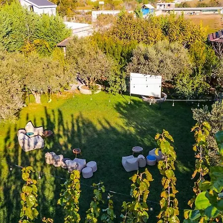 Ferma Gold By Pikhost