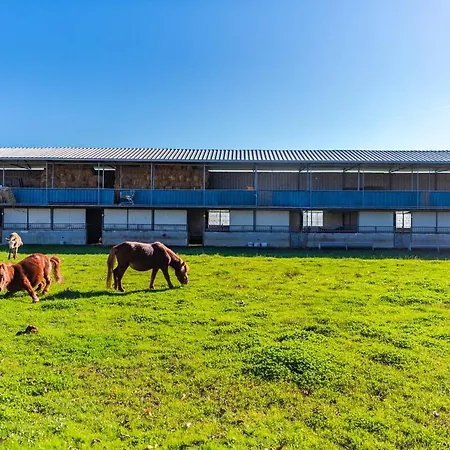 Ferma Gold By Pikhost Apartamento *