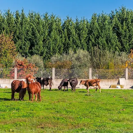 公寓 Ferma Gold By Pikhost *