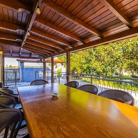 Ferma Gold By Pikhost 地拉那