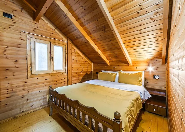 Lägenhet Ferma Gold By Pikhost Tirana