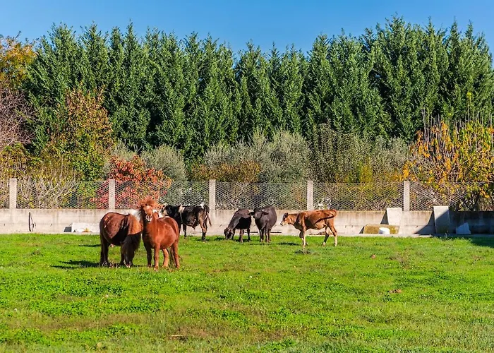 Lägenhet Ferma Gold By Pikhost *