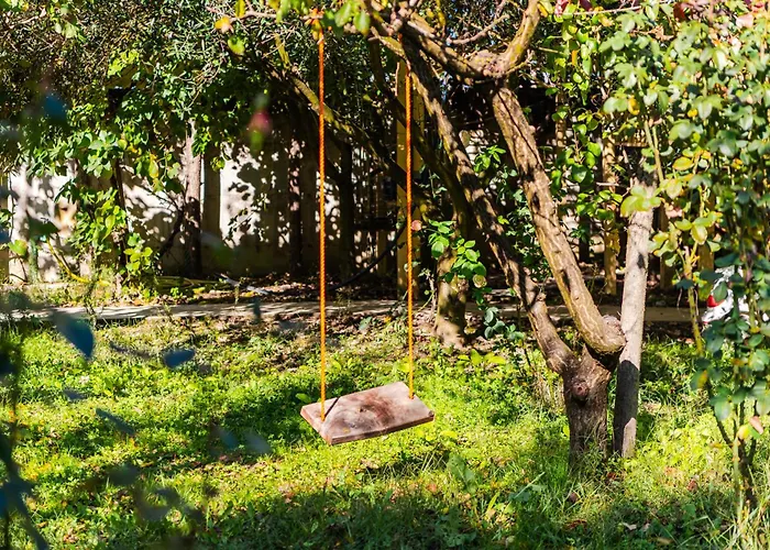 Ferma Gold By Pikhost *