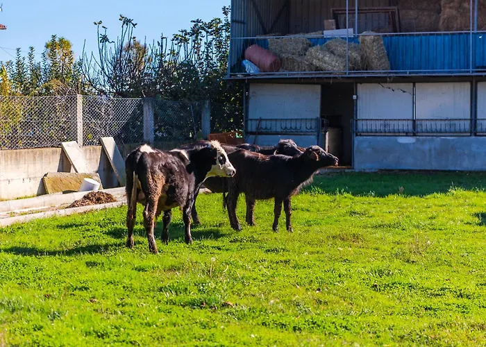 Ferma Gold By Pikhost Lägenhet *