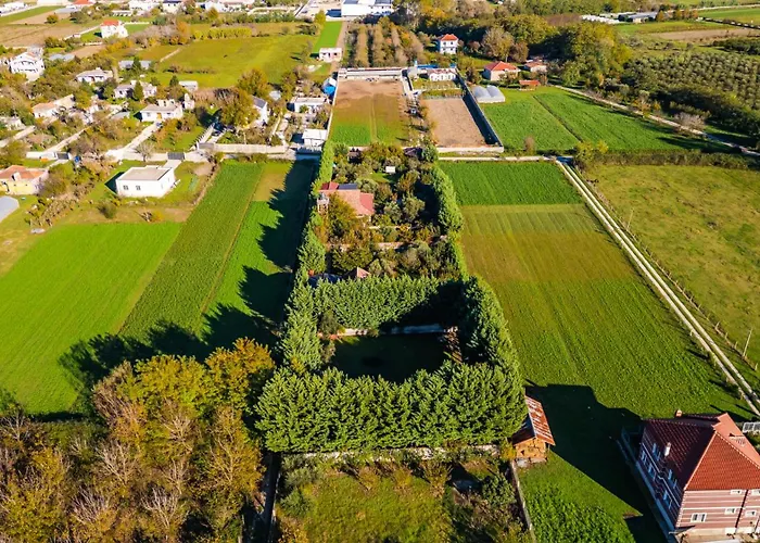 Ferma Gold By Pikhost *