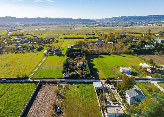 Ferma Gold By Pikhost * Tirana