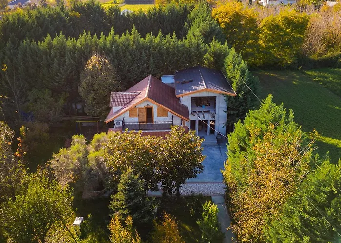 Ferma Gold By Pikhost * Tirana