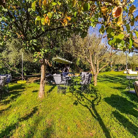 Ferma Gold By Pikhost *