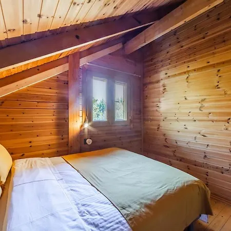 Ferma Gold By Pikhost * تيرانا