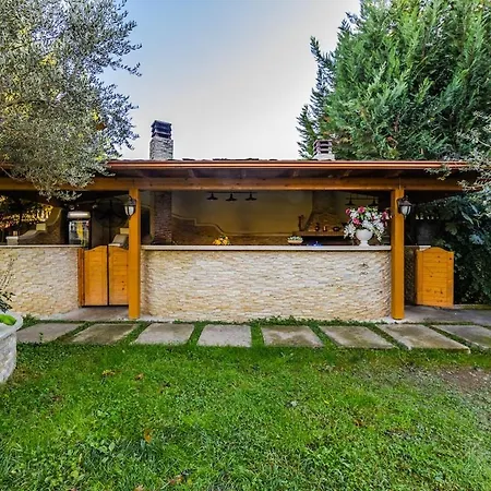 Ferma Gold By Pikhost