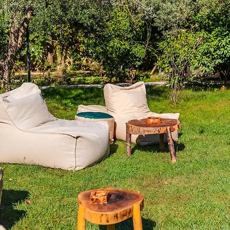 Ferma Gold By Pikhost * تيرانا