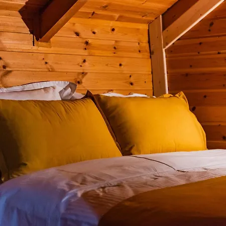 Appartamento Ferma Gold By Pikhost