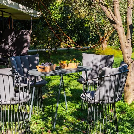 Ferma Gold By Pikhost *