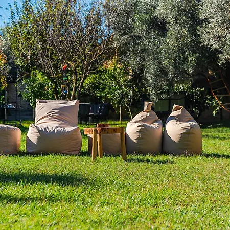 Ferma Gold By Pikhost * ティラナ