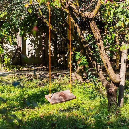 Ferma Gold By Pikhost *