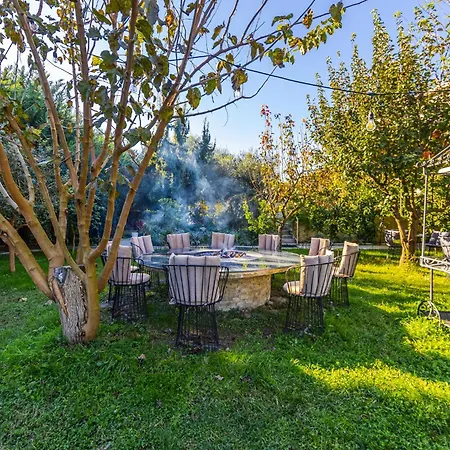 Ferma Gold By Pikhost Apartman Tirana