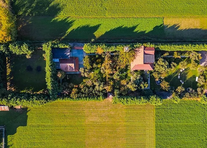 アパート Ferma Gold By Pikhost ティラナ