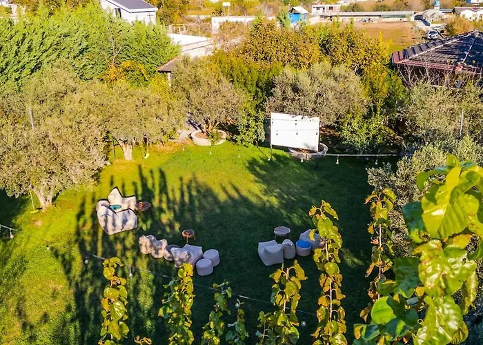 Ferma Gold By Pikhost