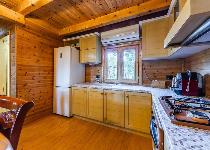 アパート Ferma Gold By Pikhost *