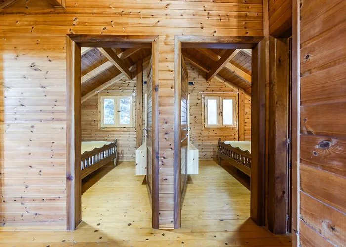 Ferma Gold By Pikhost Tirana