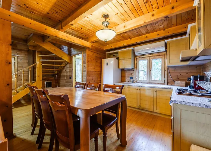 アパート Ferma Gold By Pikhost ティラナ