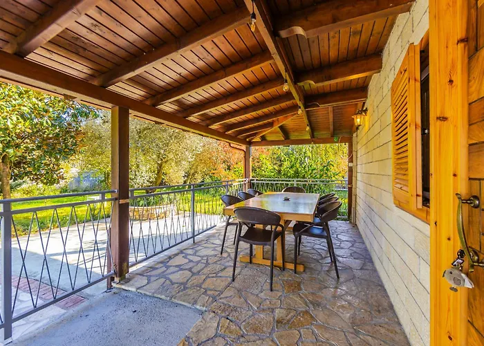 Ferma Gold By Pikhost * Tirana