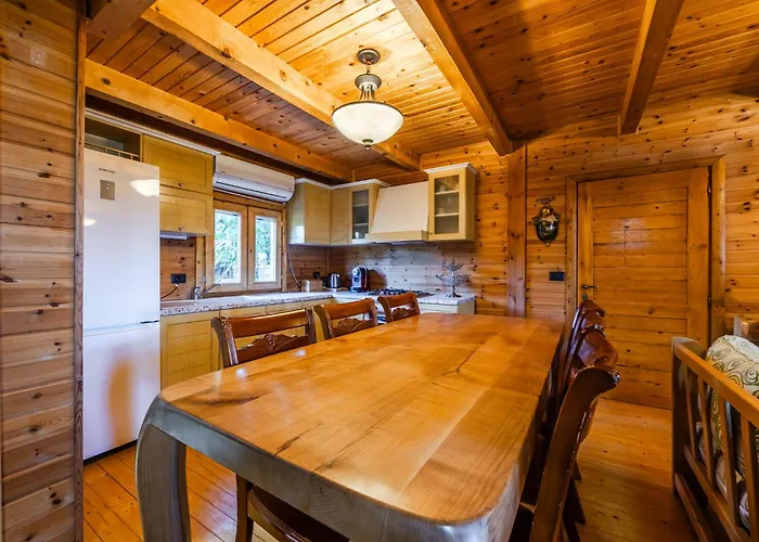 Ferma Gold By Pikhost * Tirana