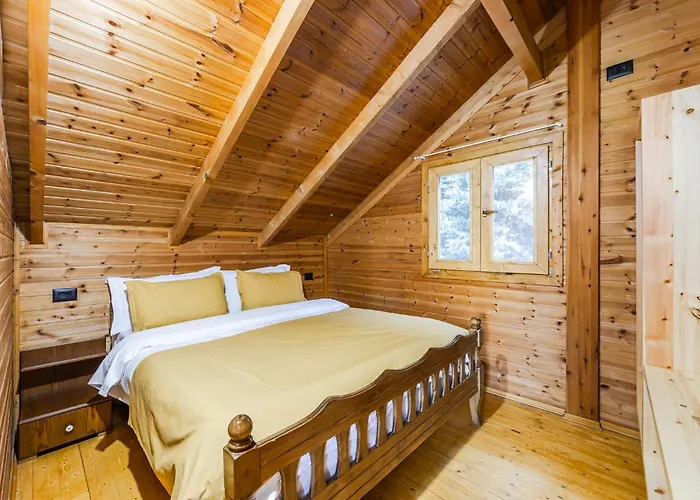 Ferma Gold By Pikhost * ティラナ