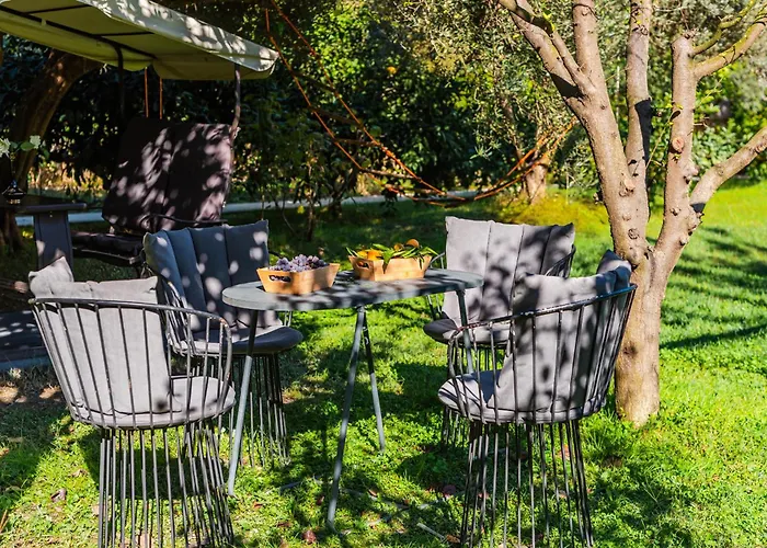 Ferma Gold By Pikhost *