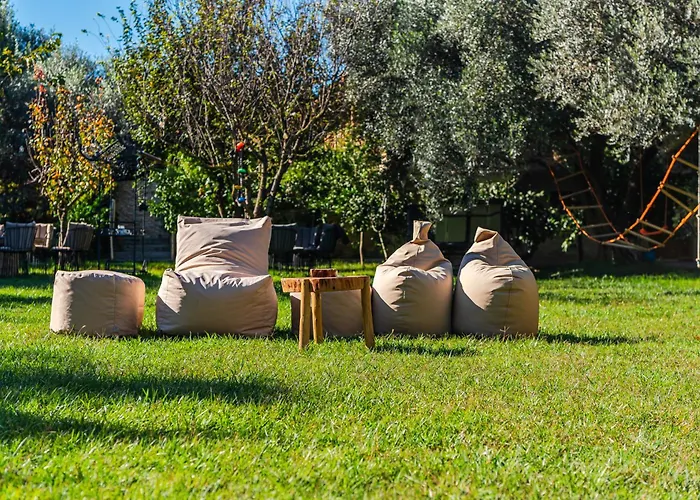 Ferma Gold By Pikhost * Tirana