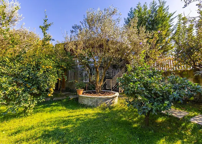 Appartamento Ferma Gold By Pikhost Tirana