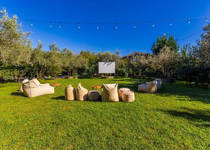 Ferma Gold By Pikhost *