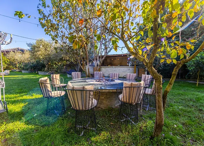 Ferma Gold By Pikhost Tirana