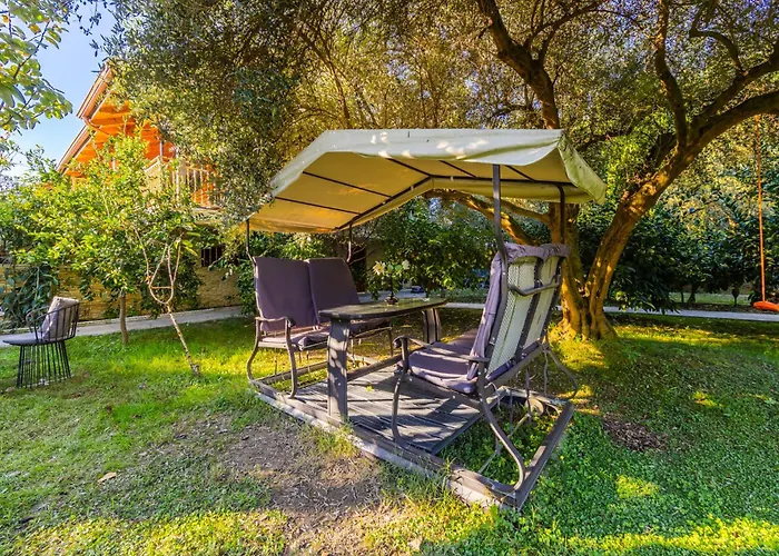 Ferma Gold By Pikhost *