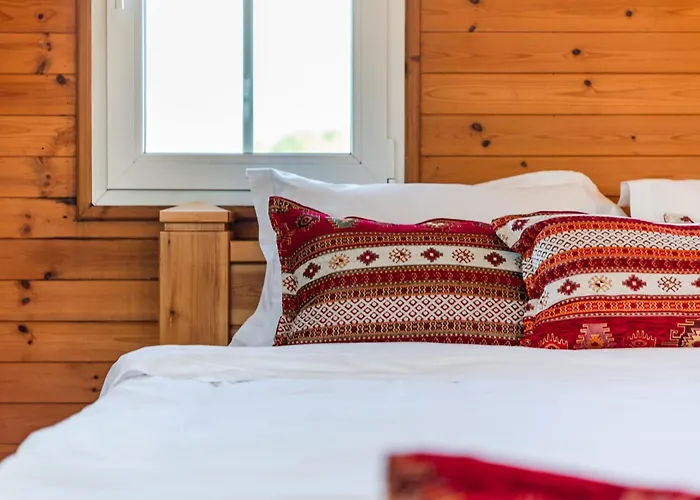 アパート Ferma Gold By Pikhost ティラナ