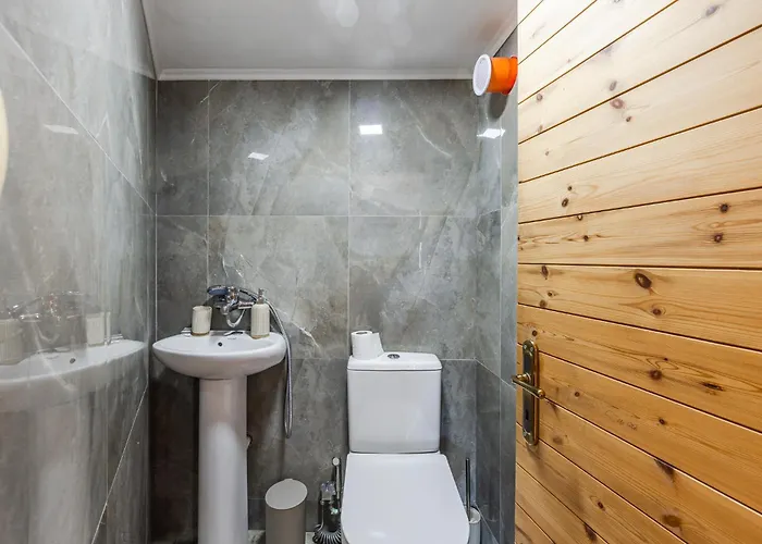 アパート Ferma Gold By Pikhost ティラナ