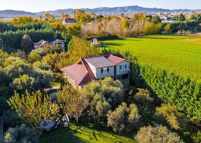 Ferma Gold By Pikhost * ティラナ